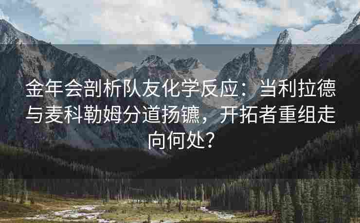 金年会剖析队友化学反应：当利拉德与麦科勒姆分道扬镳，开拓者重组走向何处？