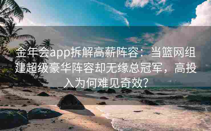 金年会app拆解高薪阵容：当篮网组建超级豪华阵容却无缘总冠军，高投入为何难见奇效？